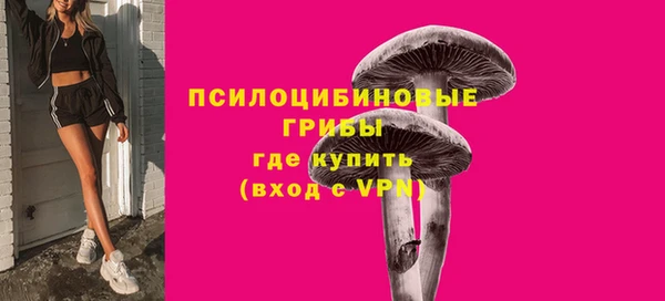 тгк Ельня