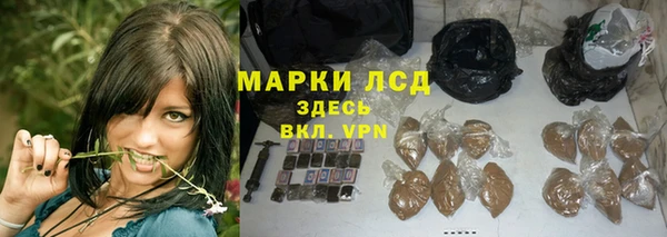 ГАЛЛЮЦИНОГЕННЫЕ ГРИБЫ Алексеевка