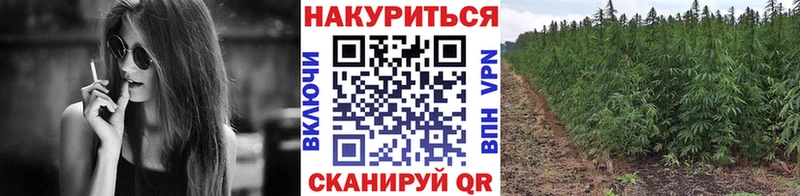 Каннабис марихуана  Калининск 
